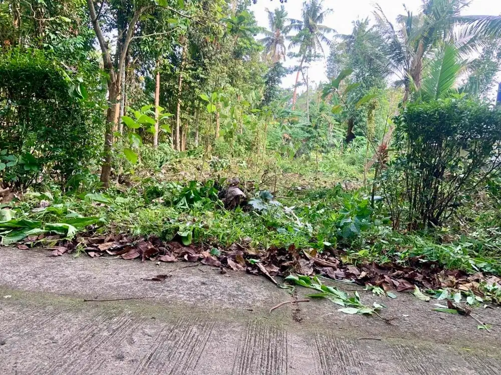Tanah SHM 495m2 Kulon Progo Jogja, 30 Menit ke Bandara YIA, Cocok Inve