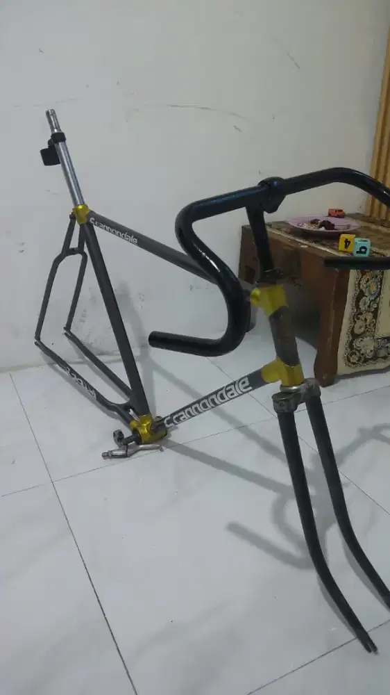 Frame set Fixie/commuter bike/gravel