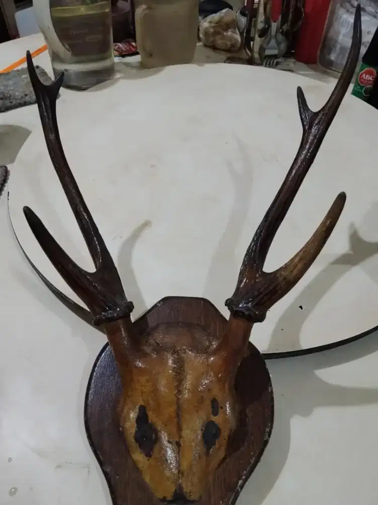 pajangan tanduk rusaa..