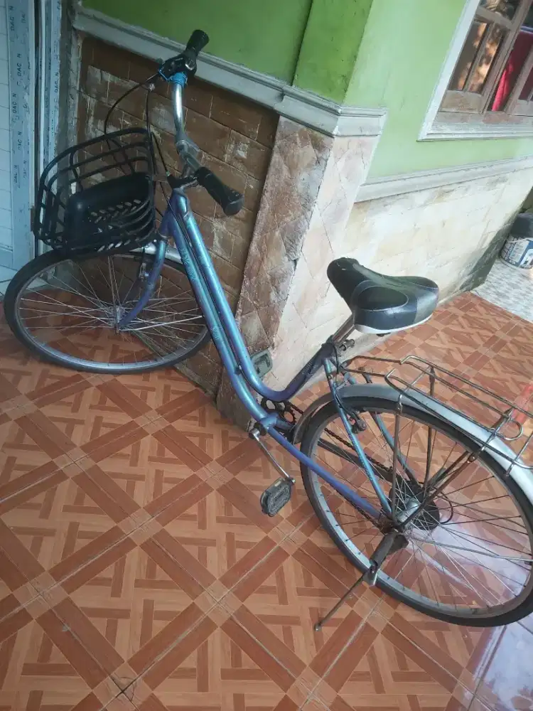 Sepeda mini dewasa Odessy modif