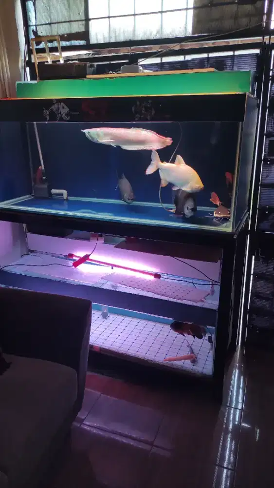 Aquarium 150x60x65 fulset atas bawah