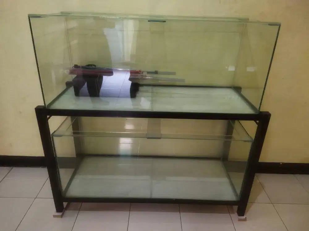 Aquarium Akuarium Ikan Arwana Channa Gabus Betok Masih Normal Bening
