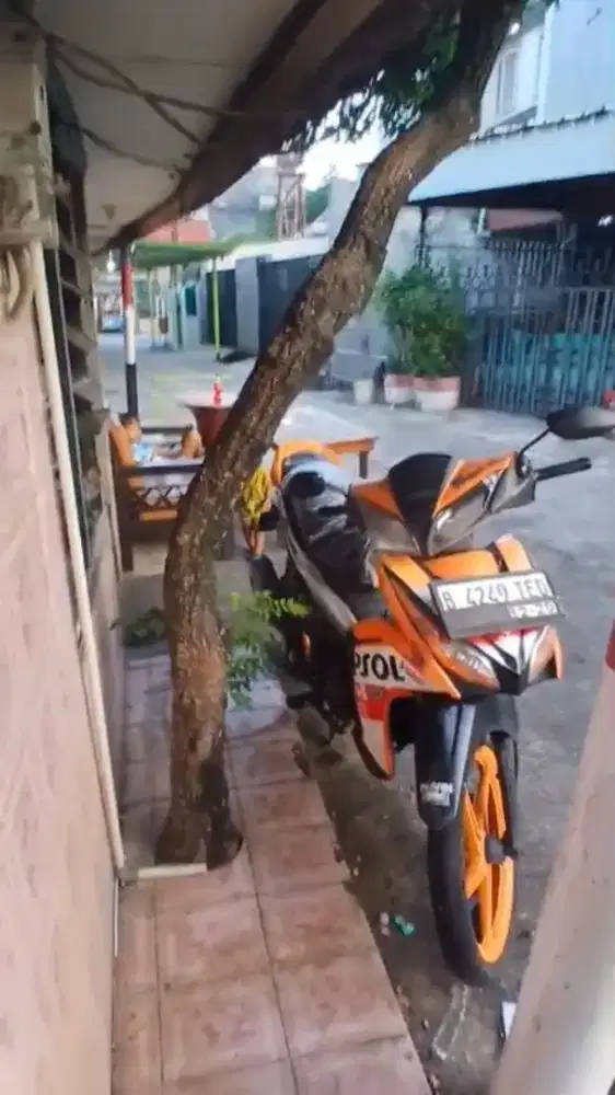 Kambing sisah 1 ekor