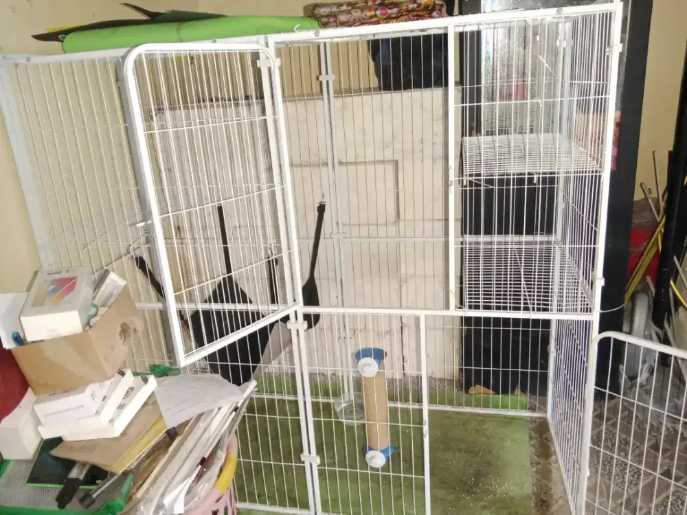 kandang kucing jumbo