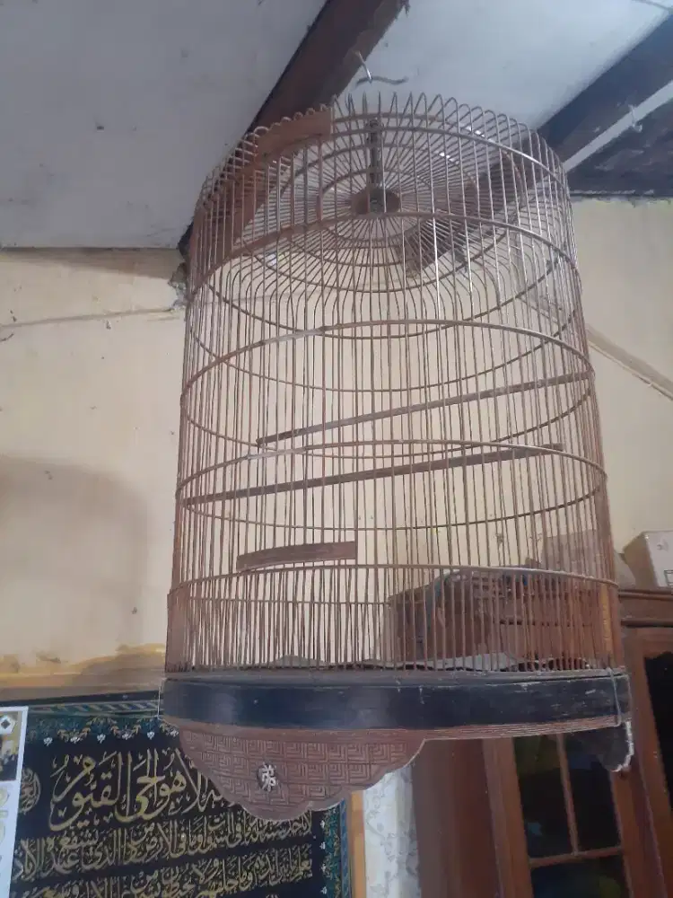 Sangkar murai batu no.1