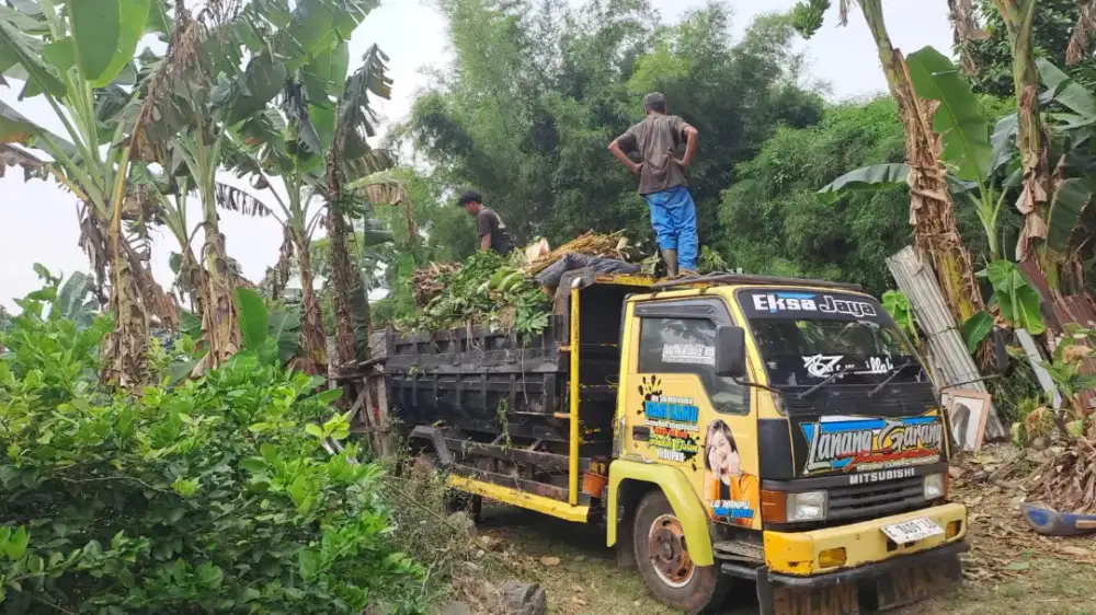 ~EKSA JAYA Jasa Buang puing buang sampah daun,tanah,buang barang bekas