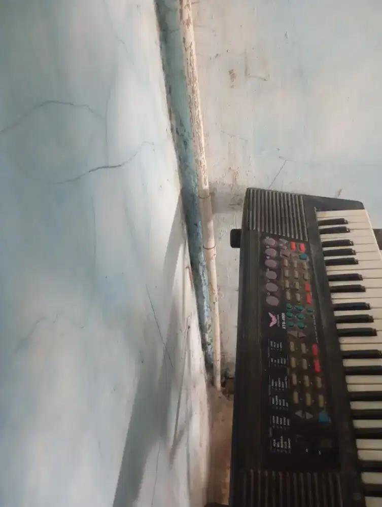 Piano /organ buat anak