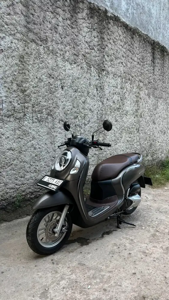 Scoopy stylish 2022