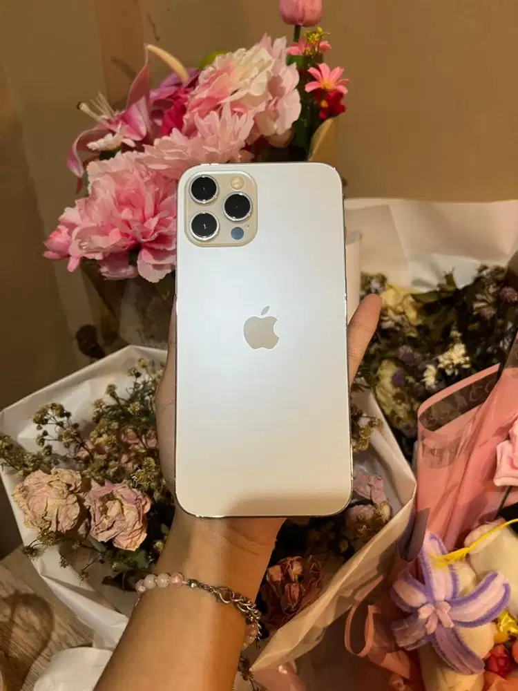 Iphone 12 Promax 256gb Beacukai