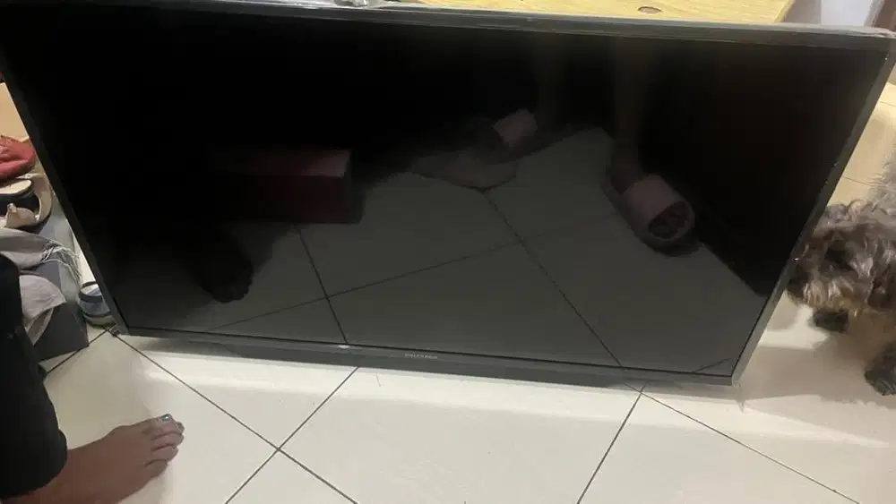 Tv masih bisa nyala tapi ada garis2