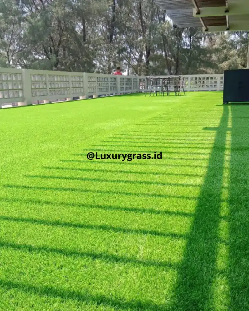 Rumput sintetis murah meriah, cocok untuk outdoor dan indoor