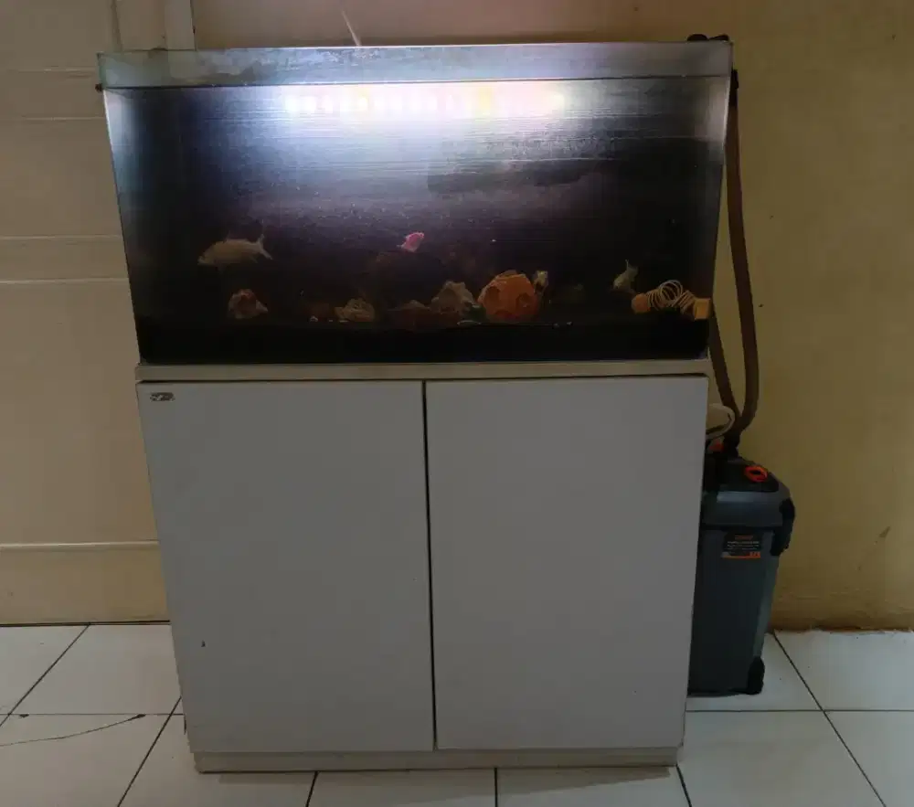 Akuarium model lengkung