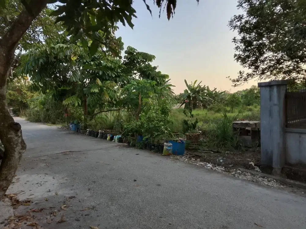 DIJUAL Tanah SHM 2.800 m² Dalam Kota Pekanbaru, Akses Jalan Beton.