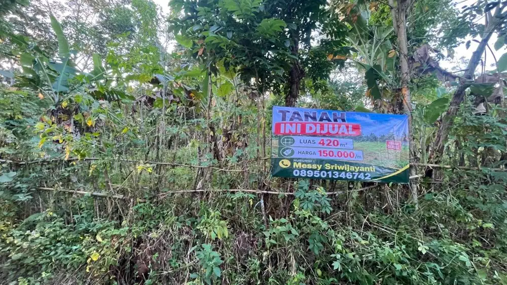 DIJUAL TANAH COCOK UNTUK INVESTASI -+ 7KM dari ALUNALUN LIMBANGAN