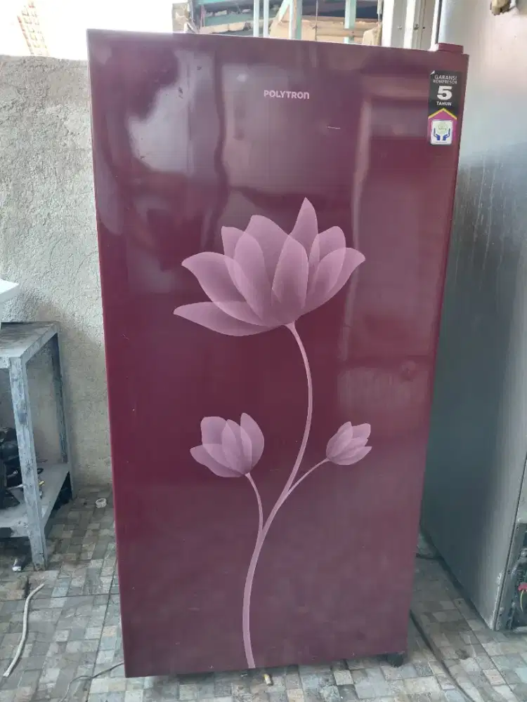 Kulkas 1 pintu polytron