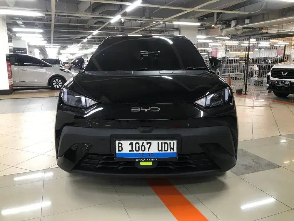 Byd atto 1 dynamic  Ev listrik 2025