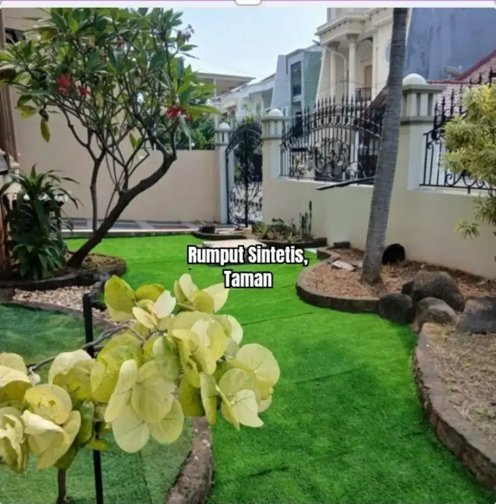Rumput yang cocok untuk ta