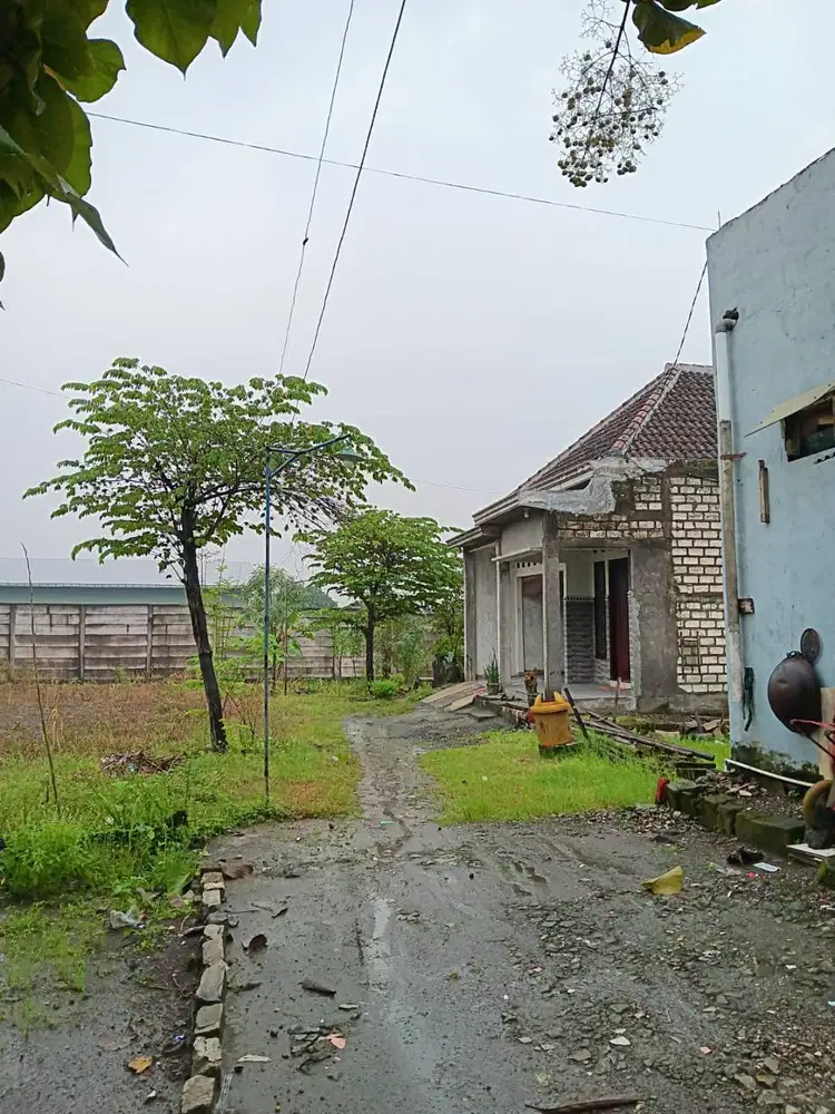 Di jual  Tanah Pelam Watu Menganti Gresik