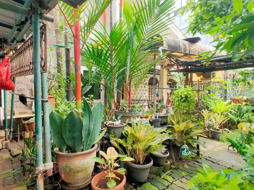 A117 Jual Murah Rumah Tua di Tawakal Raya Tomang S Parman Untuk Kost