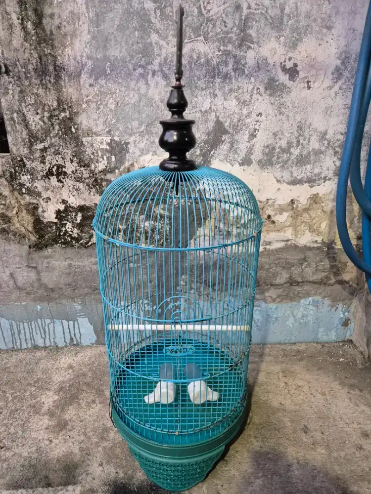 Sangkar/ kandang burung