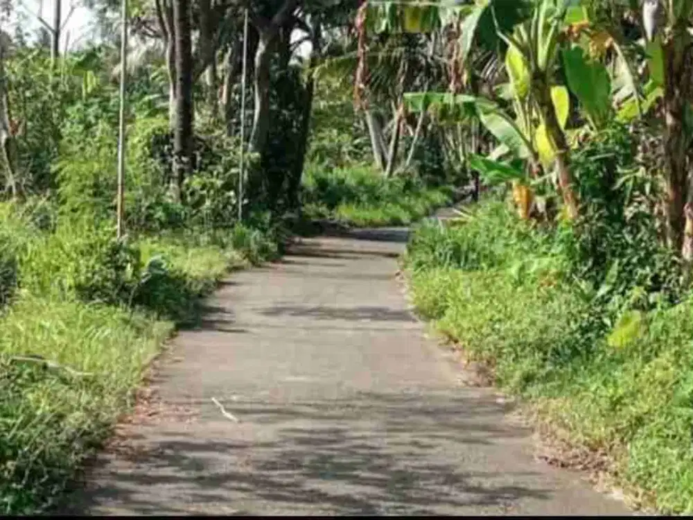 DiJual Tanah kebun di Umbulmartani Ngemplak Sleman