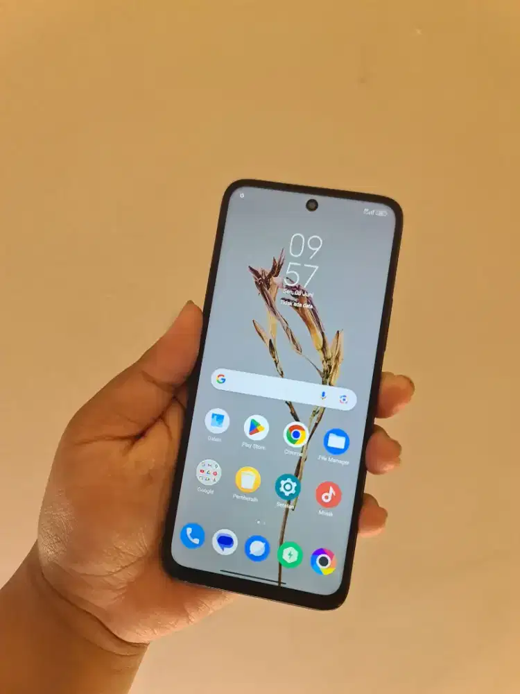 Poco M6 8+8/256