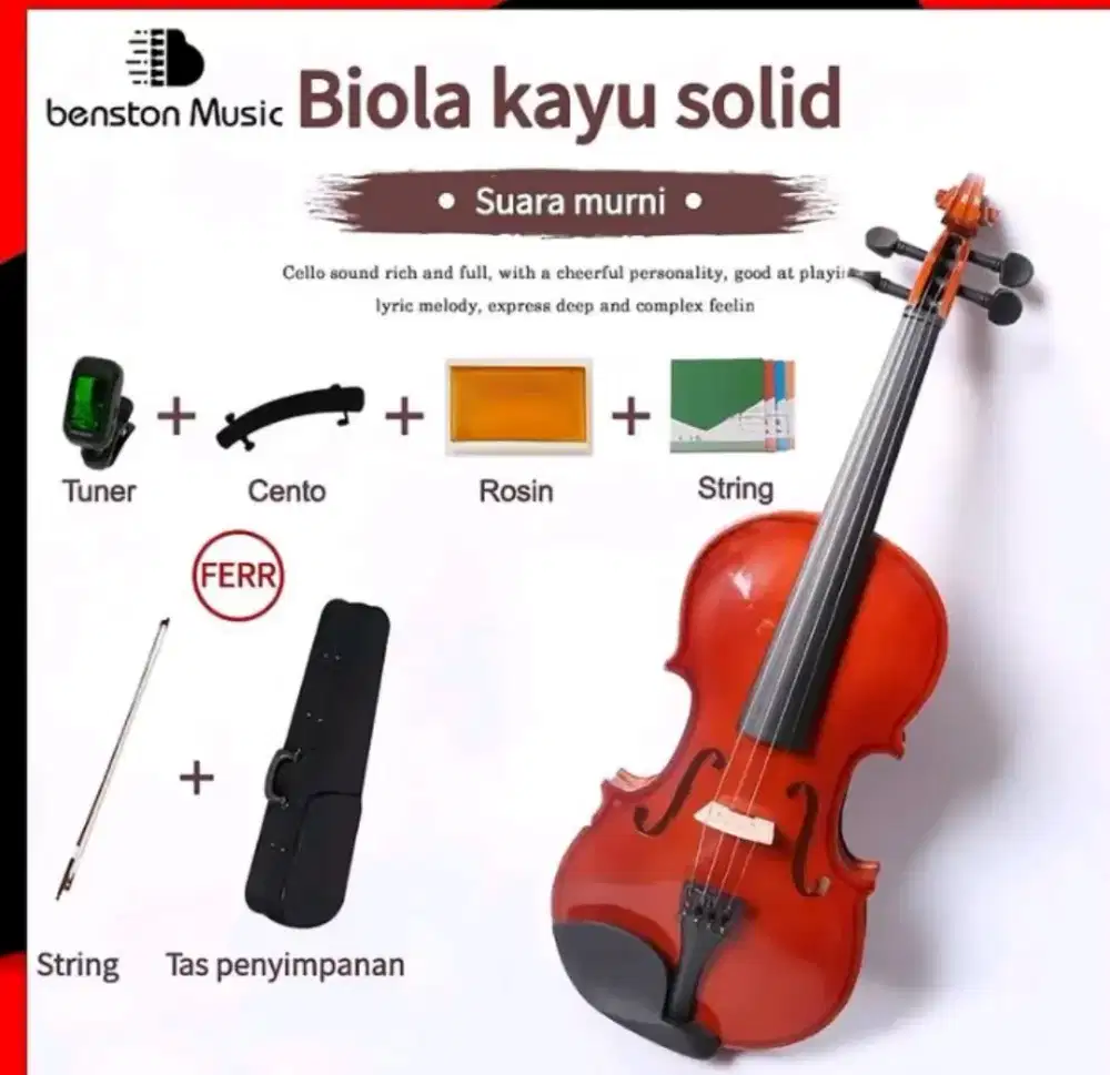 Violin instrumental music