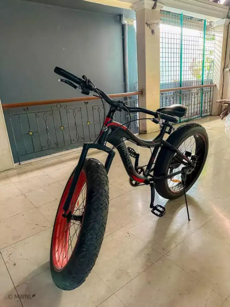 Wimcycle Fatman