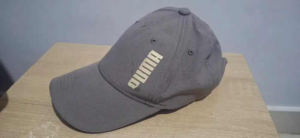 Topi puma abu abu