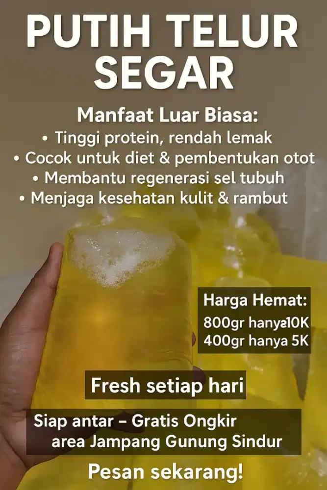 PUTIH TELUR SEGAR