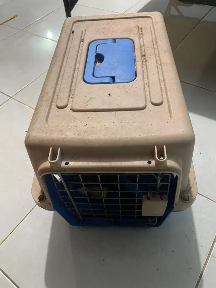 Pet Cargo Bekas Kucing