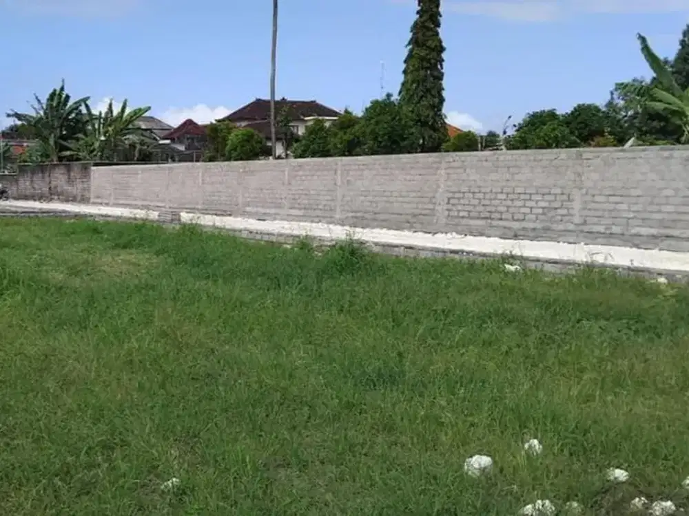 Dijual Tanah Blahbatuh Buruan Gianyar Cocok Bangun Villa