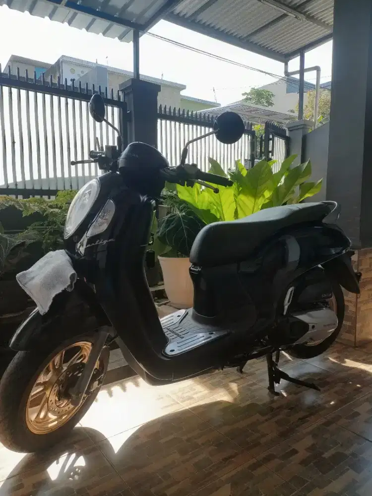Scoopy 2021 prestige black