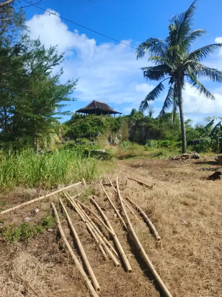 DIJUAL TANAH PREMIUM DEKAT PANTAI GESING – GUNUNGKIDUL