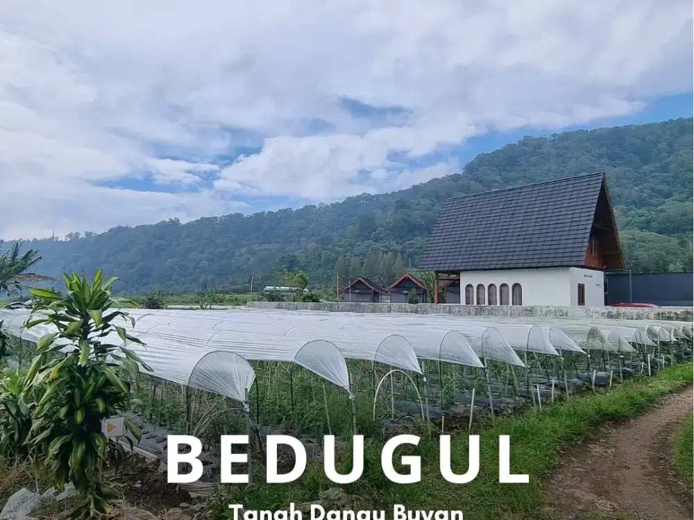 Tanah Begul Danau Buyan Dekat Bali Farm House