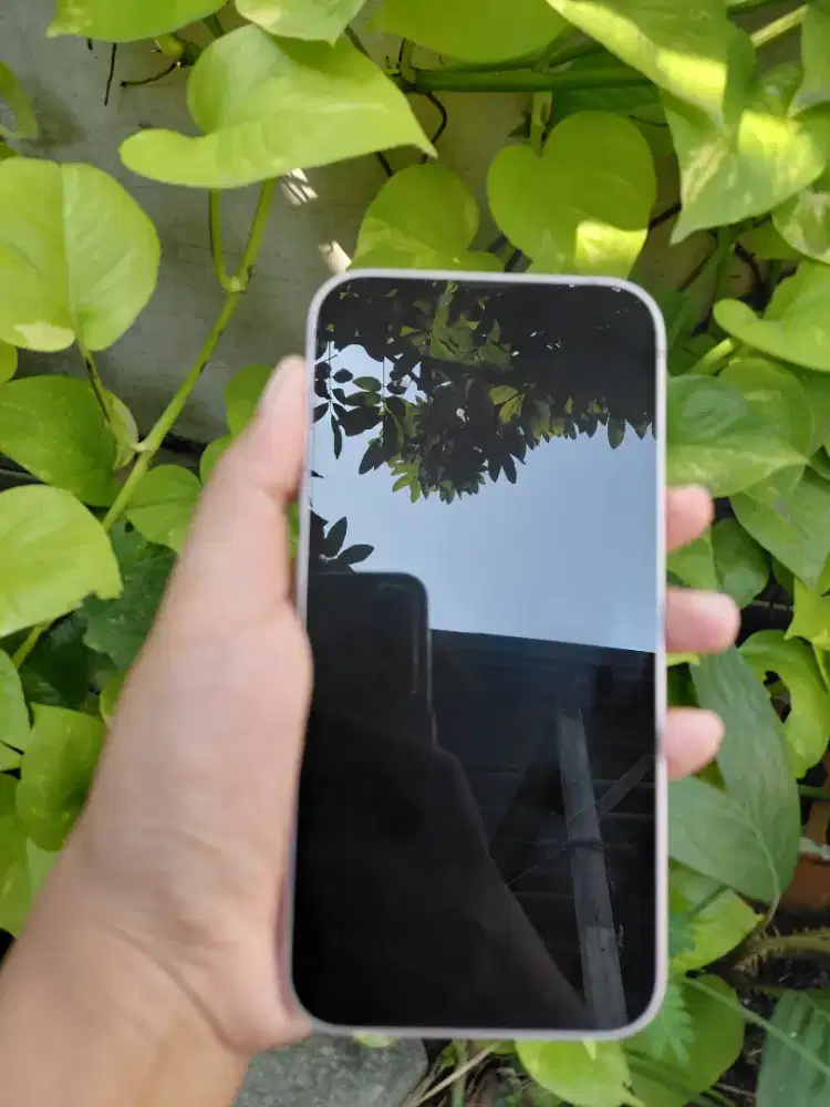 Iphone 13 256gb