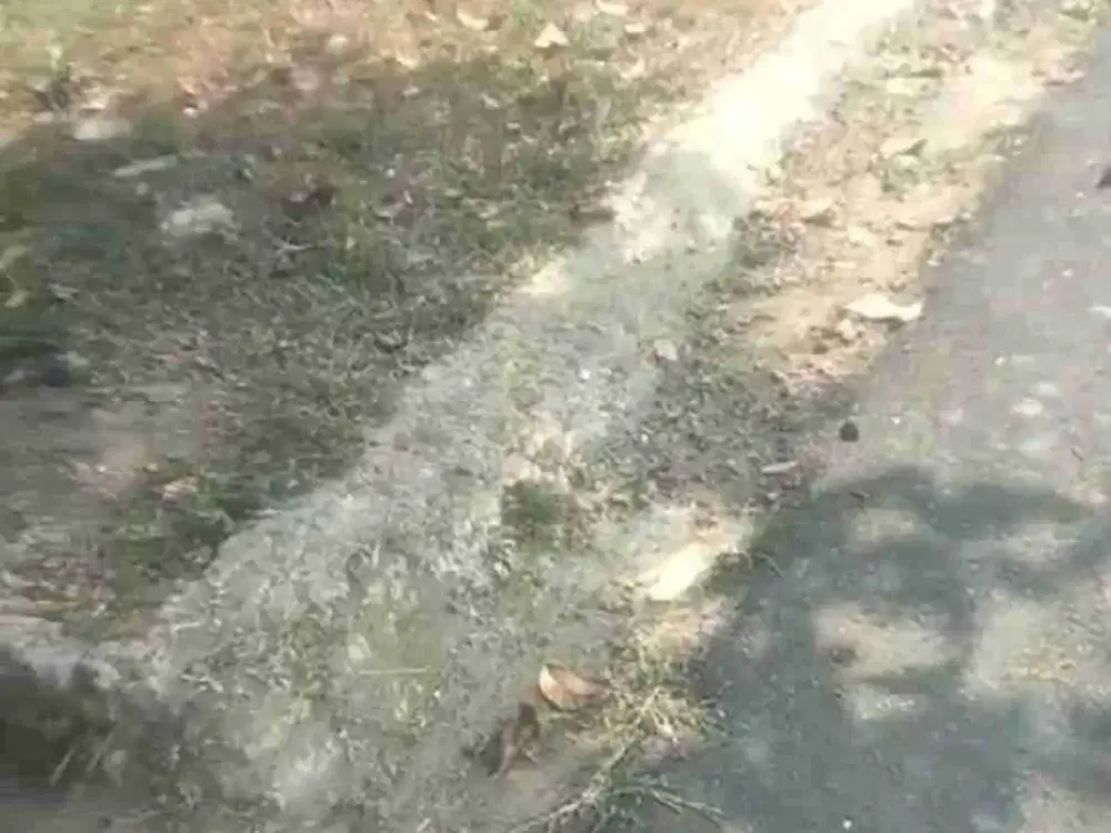Jual Tanah Pinggir Jalan Aspal dan Rumah Kebun Durian Murah Sukabumi