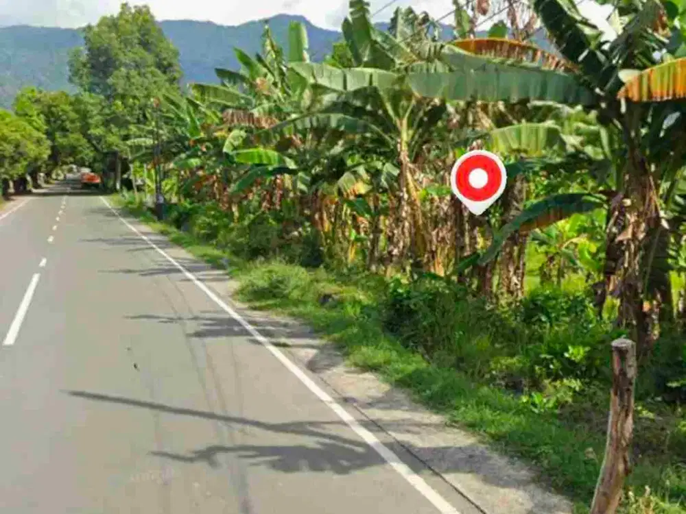 Tanah zona industri jalan utama pelabuhan Celukan bawang buleleng