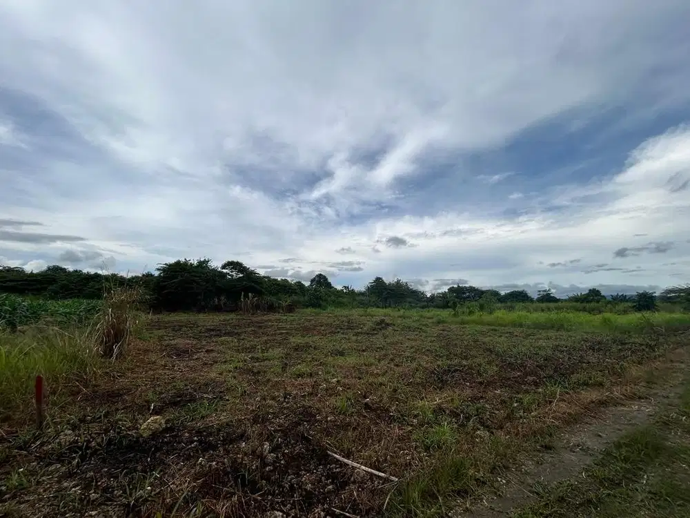 Dijual tanah/lahan kebun