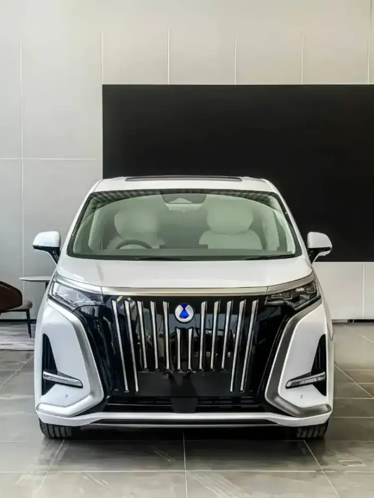 Denza D9 White Premium
