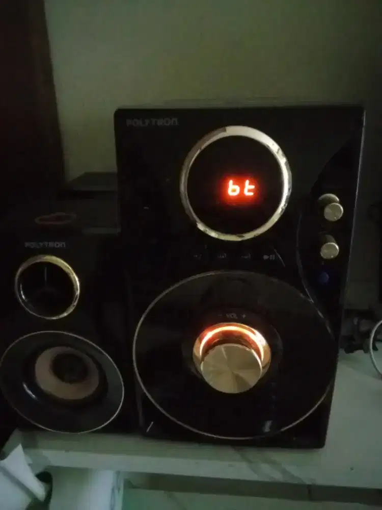 Speaker Polytron PMA 6310