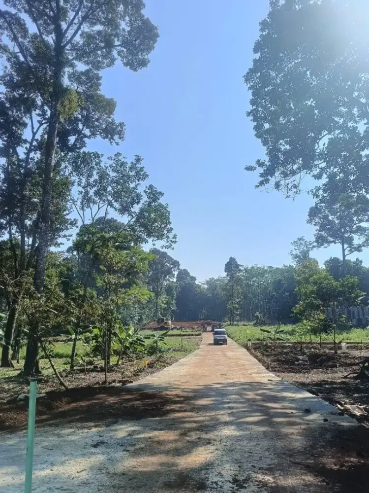 Tanah DP 60 juta bisa kpr 24 bulan di gunung pati