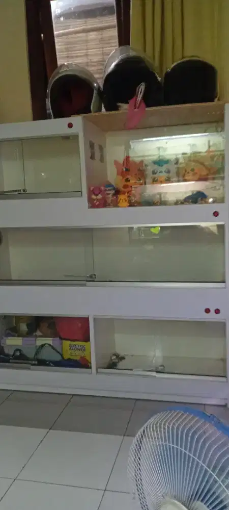 Terarium kandang reptil