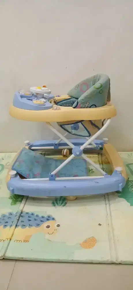 Baby Walker Family