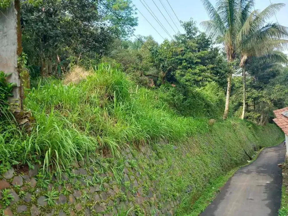DIJUAL TANAH KEBUN PRODUKTIF 6,5 HEKTAR – BOJONG KONENG, CIMANDE CIANJUR