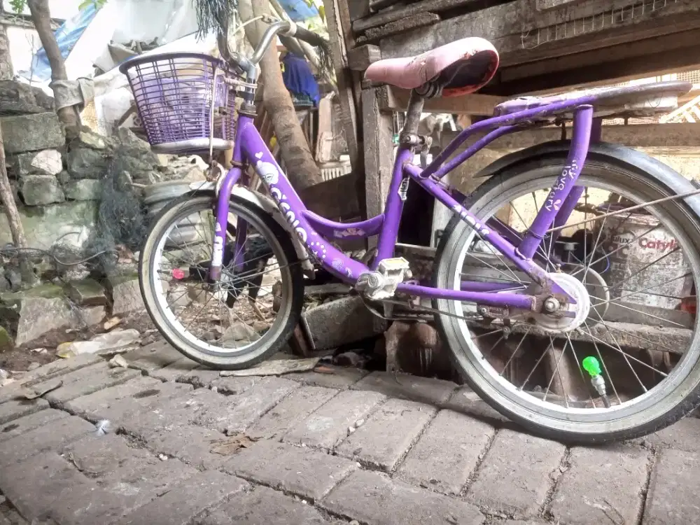 Jual cepat speda anak perempuan ukuran 18 Masi cakep