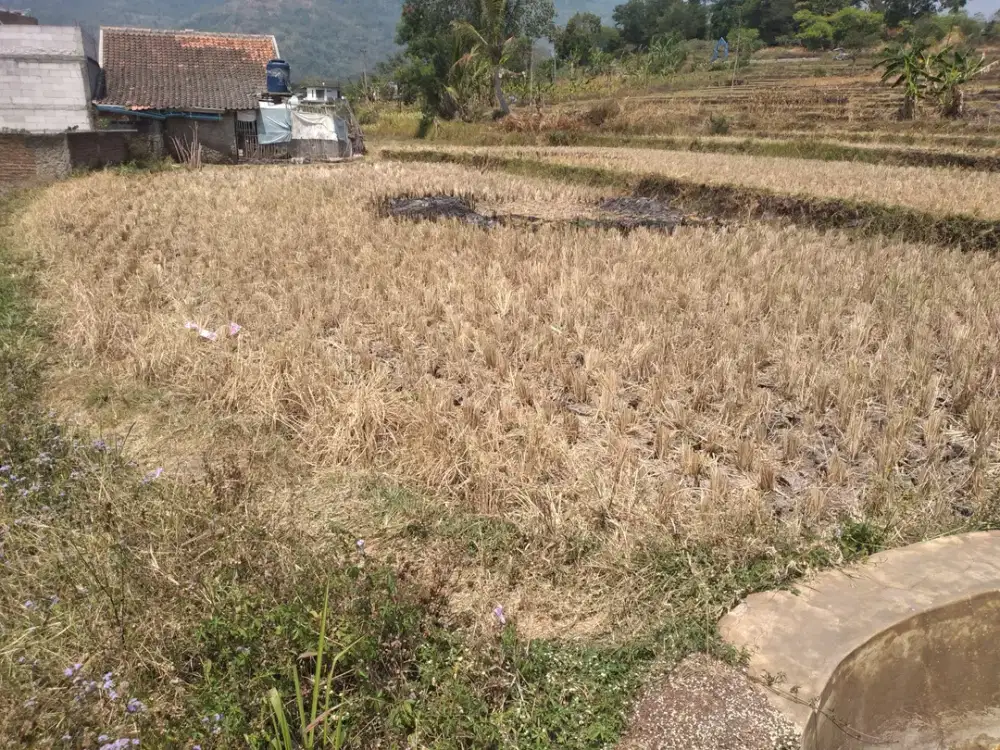 Tanah Dijual di Garut, Cibatu (2)