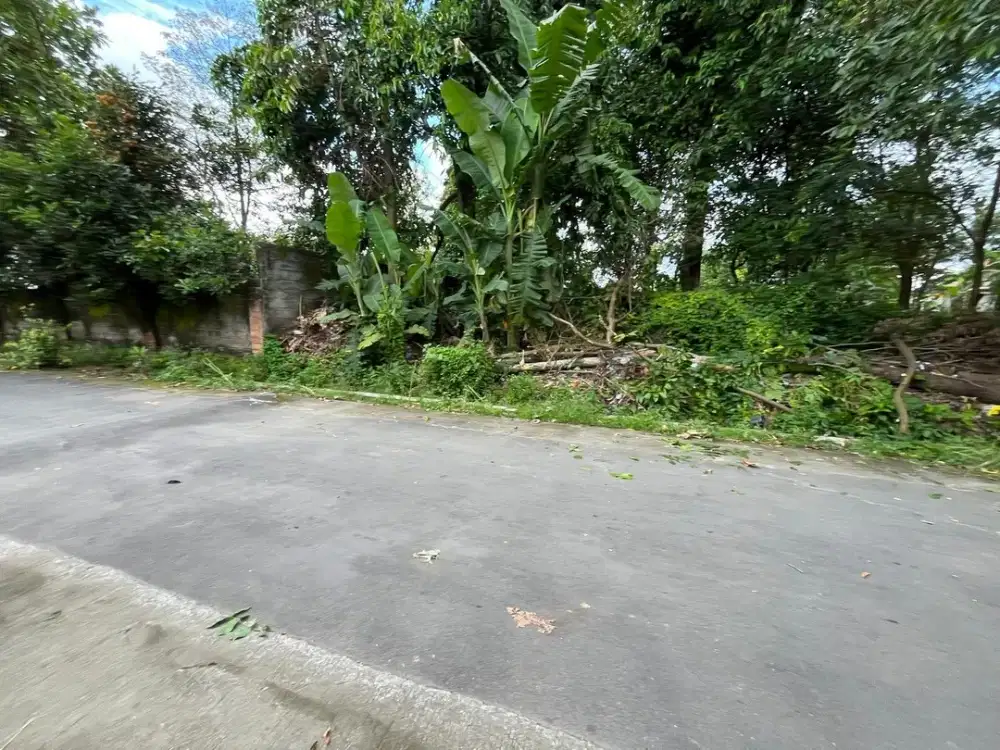 Tanah Jogja di Jl. Raya LPMP Dekat Candi Prambanan Info Rumah, Kost, Villa, Homestay