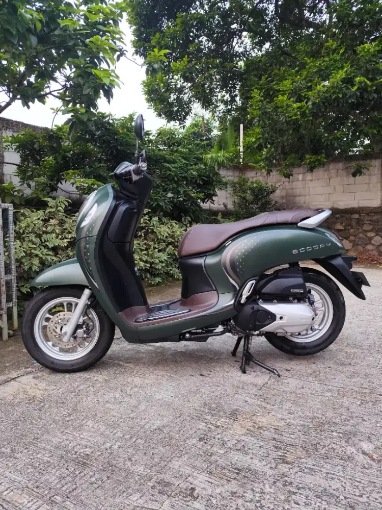 All New Honda Scoopy Stylish 2024