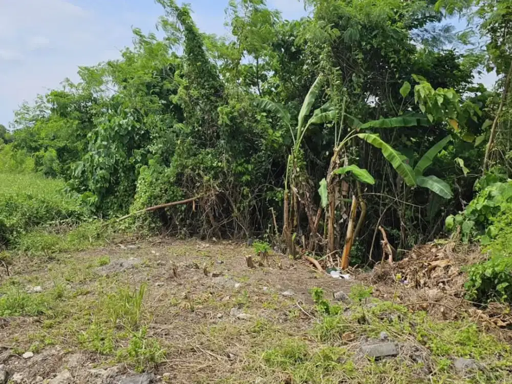 Dijual Tanah Kemenuh Sukawati Gianyar Siap Bangun Dekat Ubud